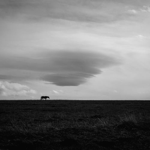 Photo #13908855
