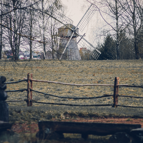 Photo #13908870