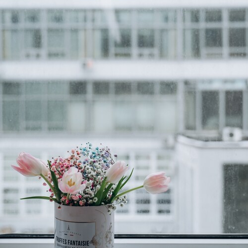Photo #13909000