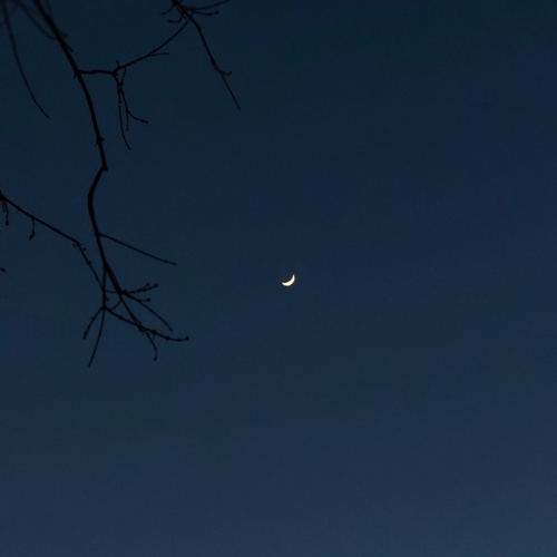 Photo #13909054