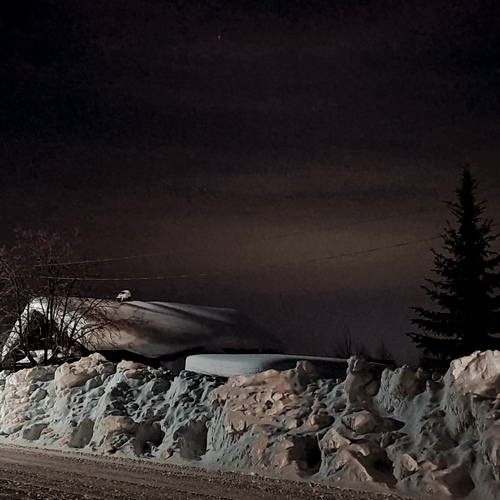 Photo #13909133
