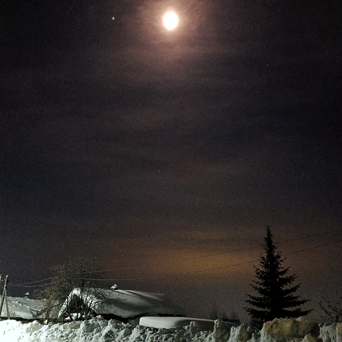 Photo #13909135
