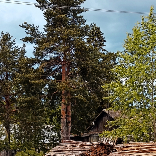 Photo #13909148