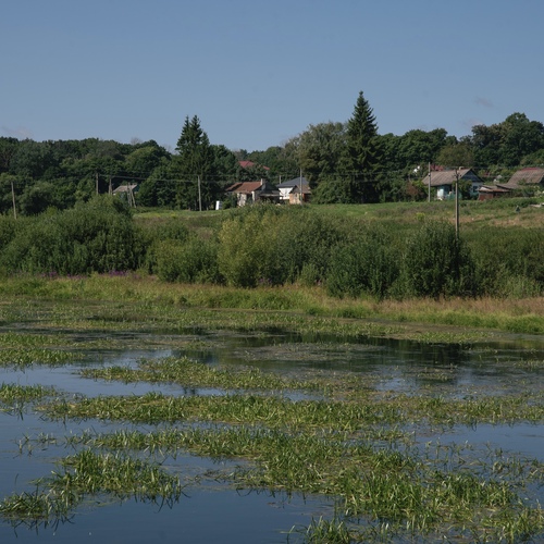 Photo #13909158