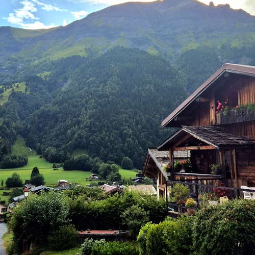 Photo #13909169