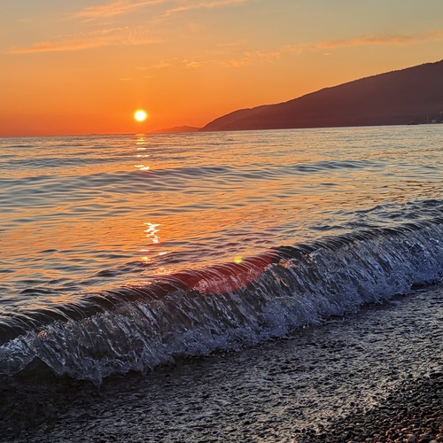 Photo #13909176