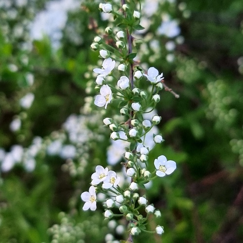 Photo #13909180