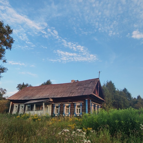 Photo #13909273