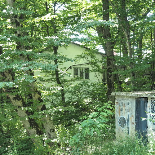 Photo #13909446