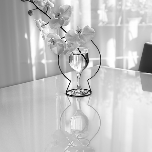 Photo #13909475