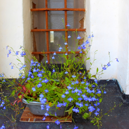 Photo #13909500