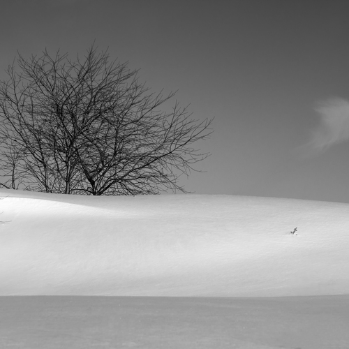 Photo #13909552