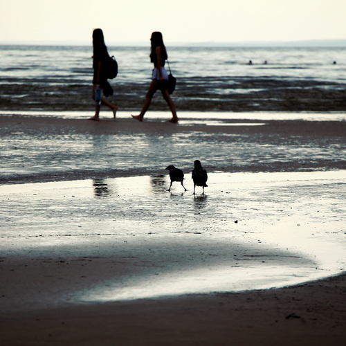 Photo #13909575
