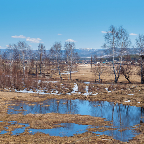 Photo #13909620