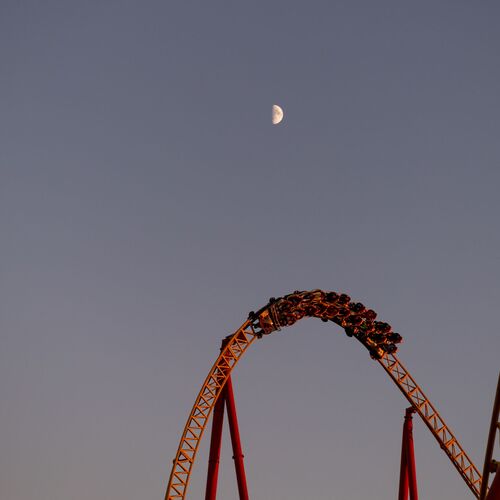 Photo #13909726