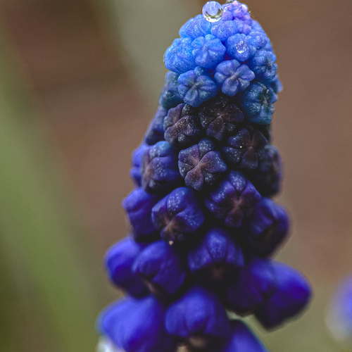 Photo #13909741