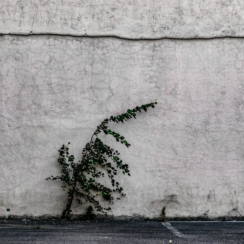 Photo #13909754