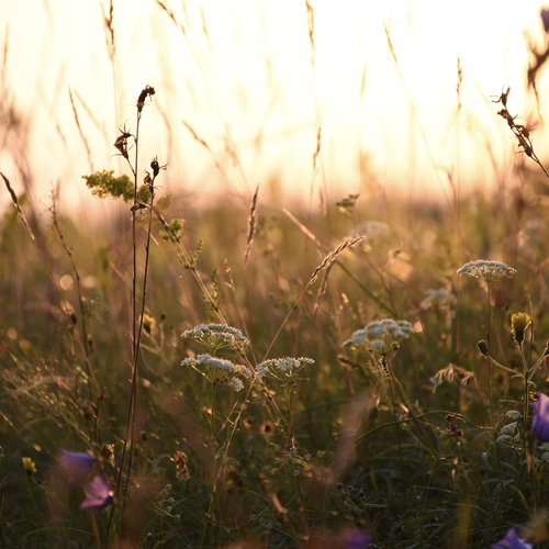Photo #13909836