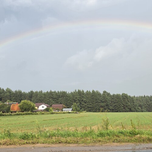 Photo #13909843