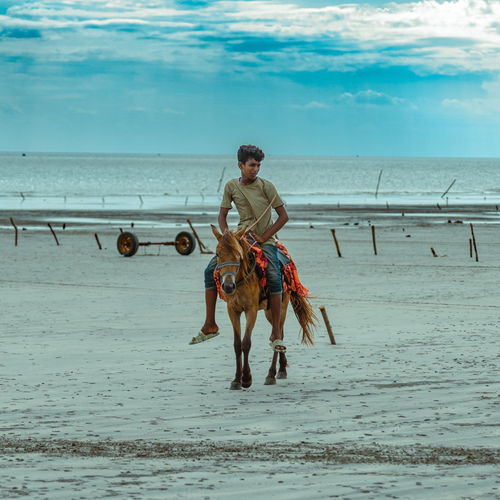 Horse Rider
