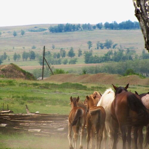 Photo #13909873