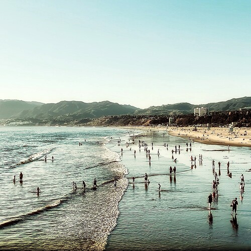 Photo #13909887