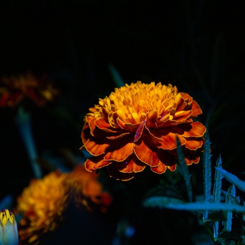 Photo #13909913