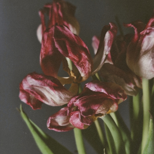 Photo #13909940