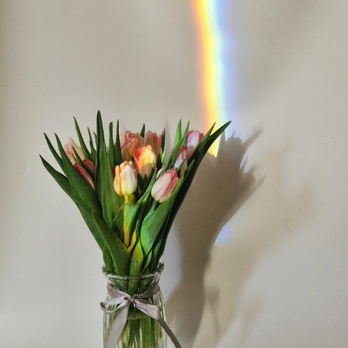 Photo #13909942