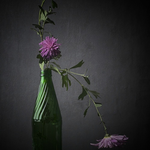 Photo #13909976