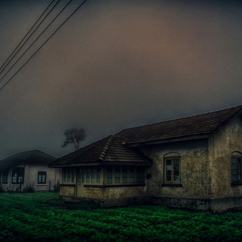 Photo #13910052