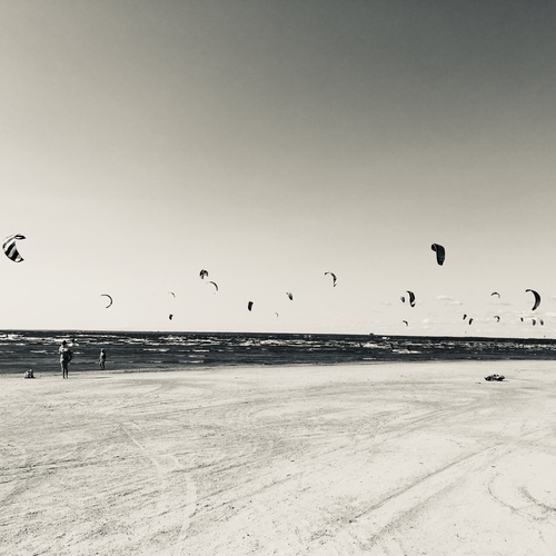 Photo #13910086
