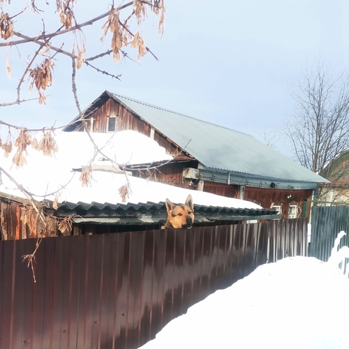 Photo #13910091