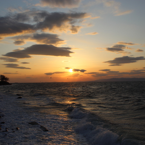 Photo #13910116