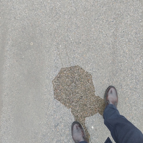 Photo #13910141