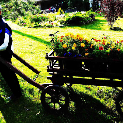 Photo #13910168