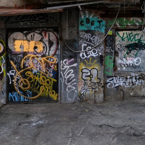 Photo #13910206