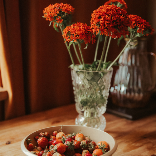 Photo #13910259