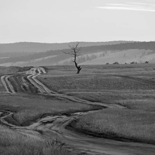 Photo #13910273