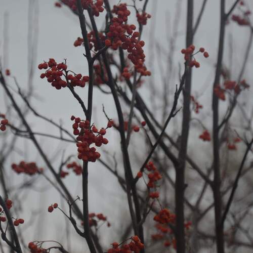 Photo #13910296
