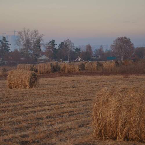 Photo #13910367