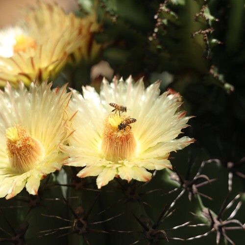 Photo #13910380