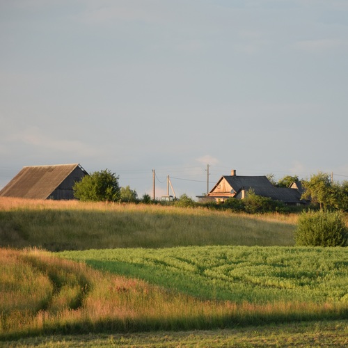 Photo #13910424