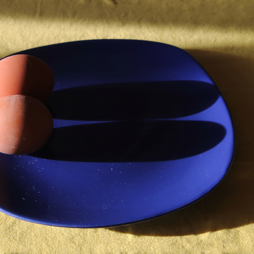 Photo #13910465