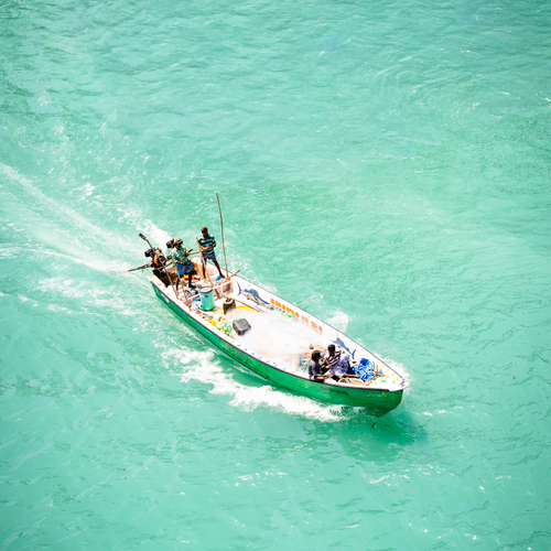 Photo #13910488