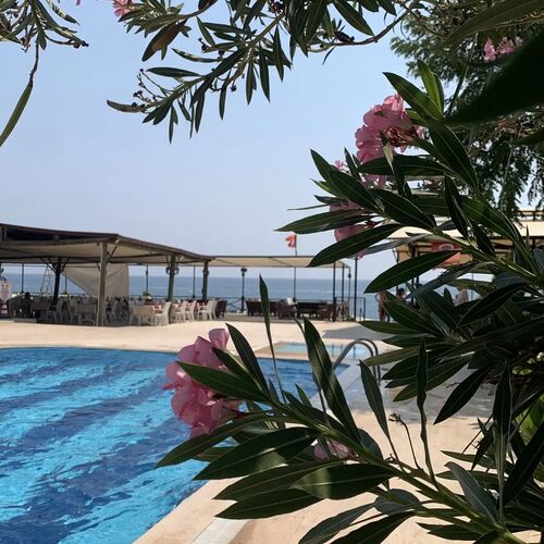 Photo #13910558