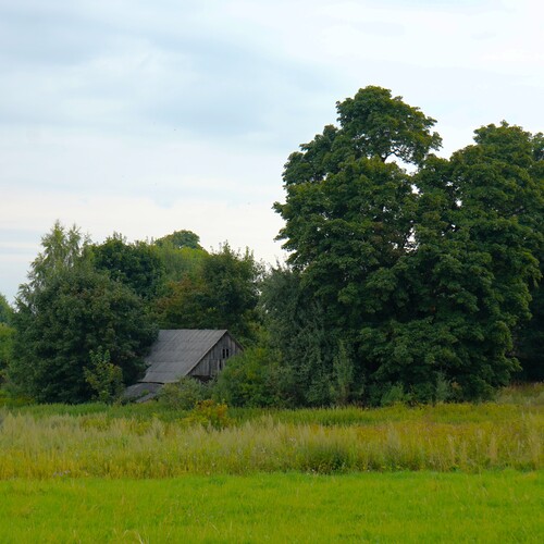 Photo #13910590