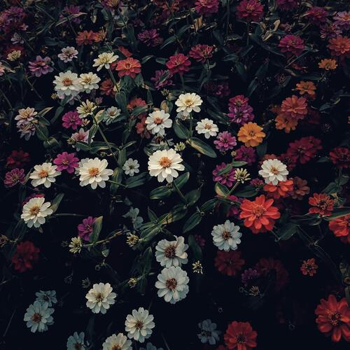 Photo #13910612