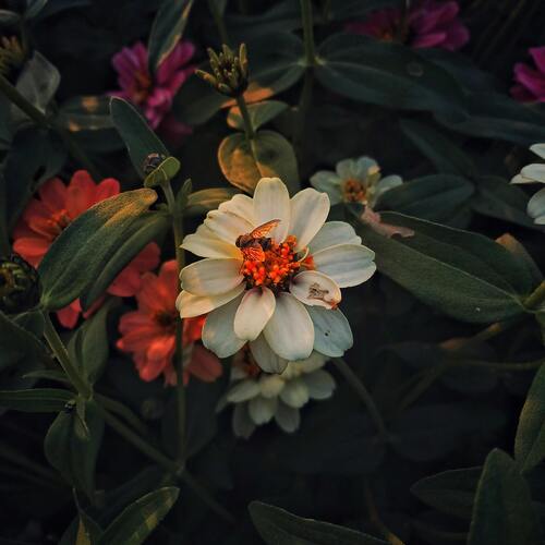 Photo #13910614