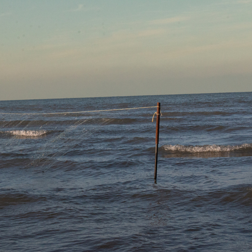 Photo #13910615